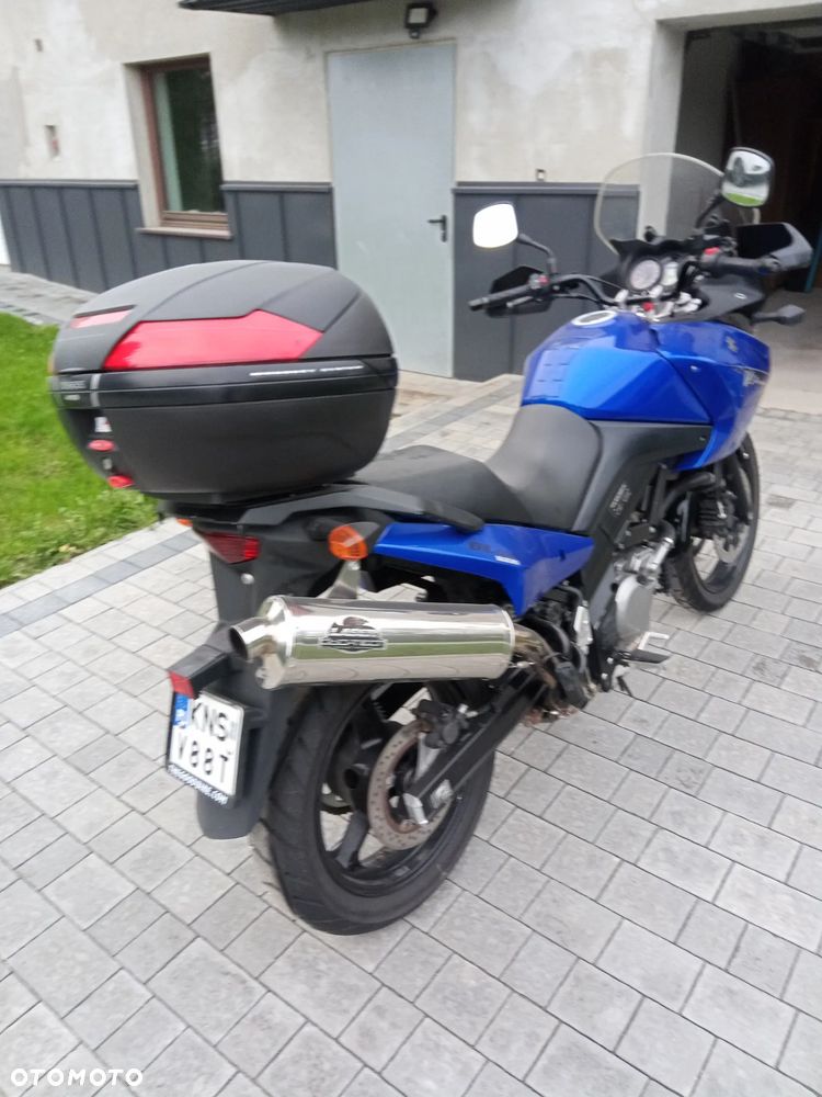 Suzuki DL - 3