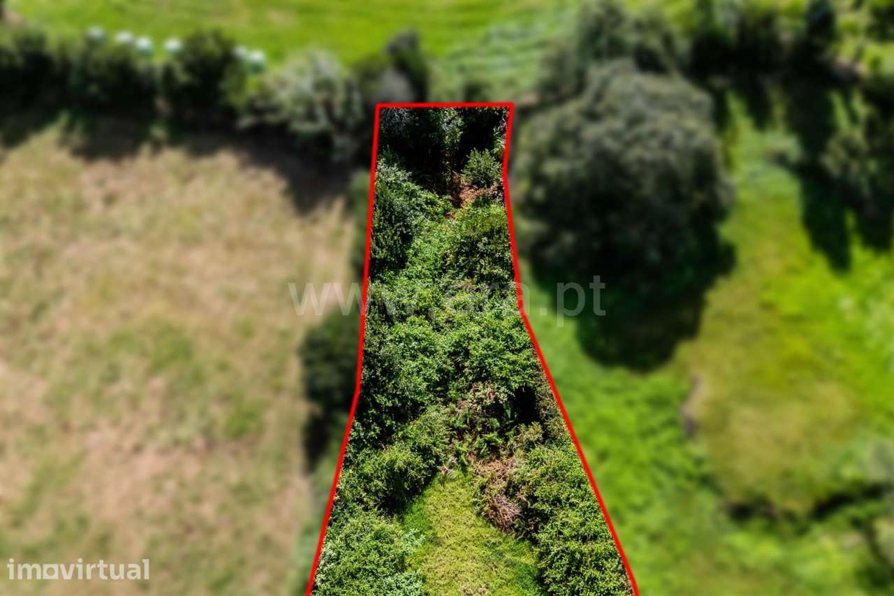 Terreno - São Vicente Ferreira - Grande imagem: 5/7