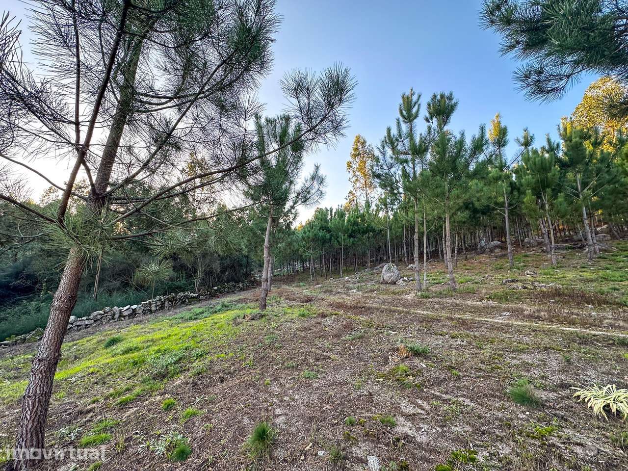 Terreno  Venda em Tamel (Santa Leocádia) e Vilar do Monte,Barcelos - Grande imagem: 4/13