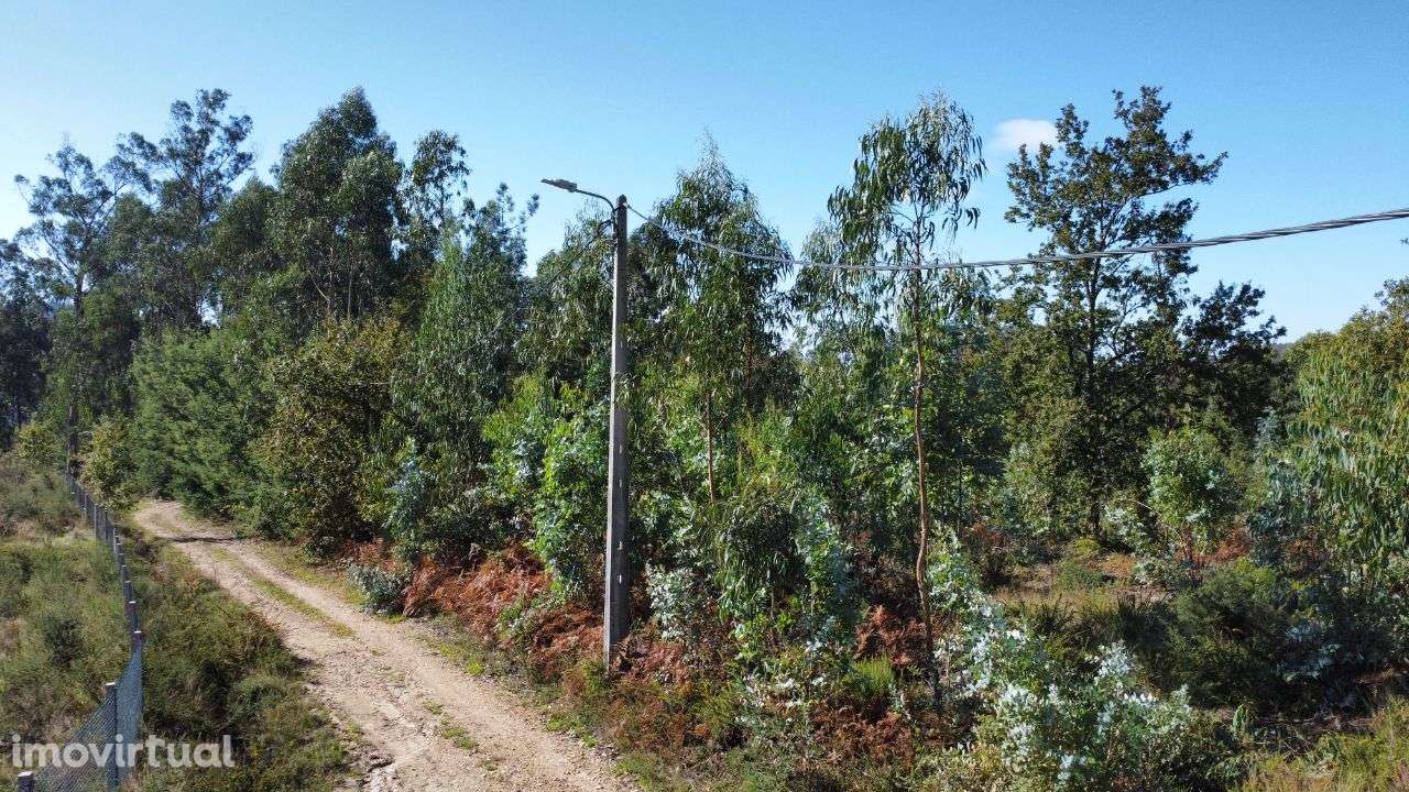 Terreno – Sever do Vouga - Grande imagem: 2/11