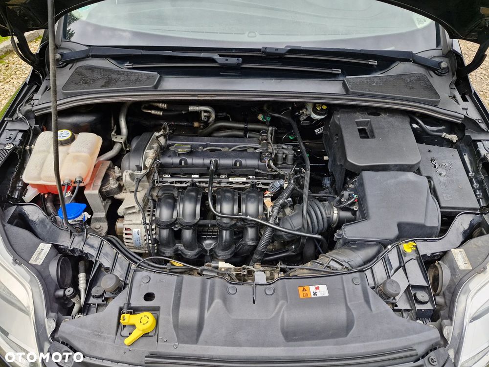 Ford Focus 1.6 TI-VCT Trend - 18