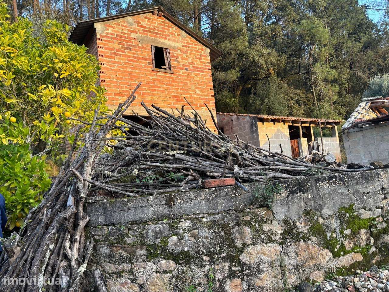 Quintinha Encantadora no Campo - Grande imagem: 4/32