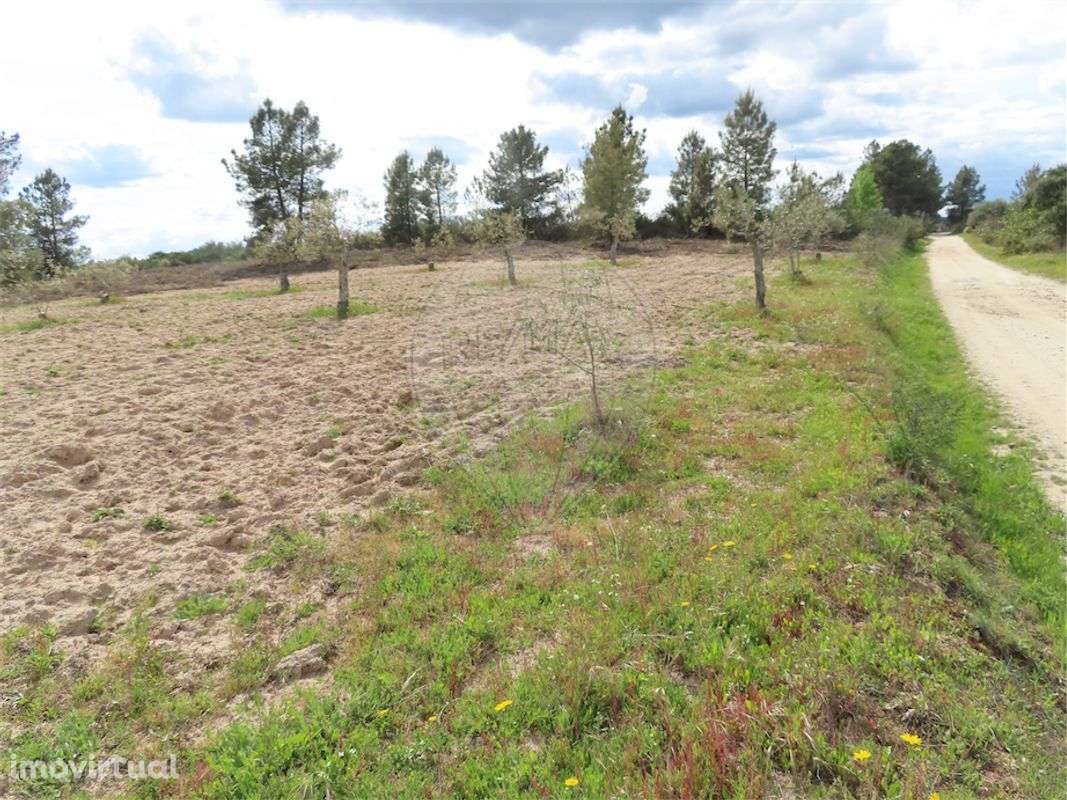 Quinta  para venda - Grande imagem: 4/19