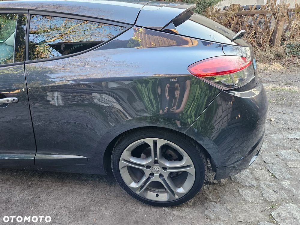 Renault Megane 2.0 16V TCE GT - 14