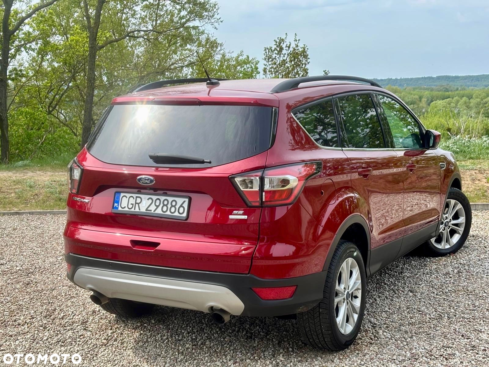 Ford Kuga 1.5 EcoBoost AWD Edition ASS - 4