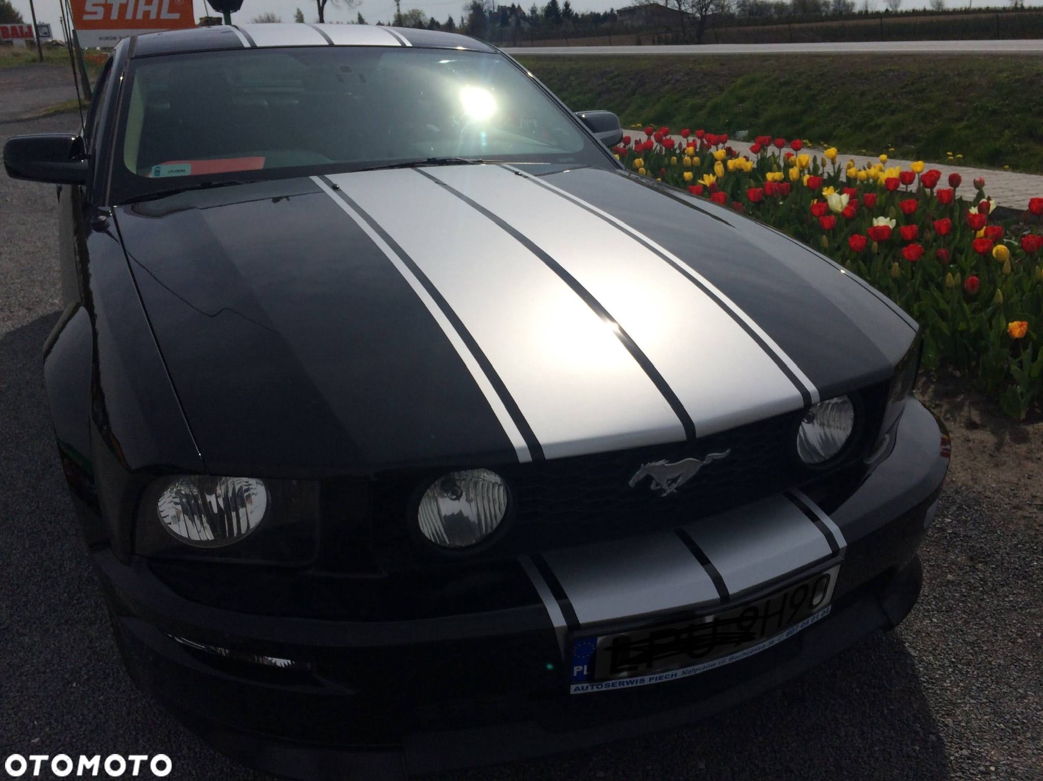 Ford Mustang 4.6 V8 GT - 1