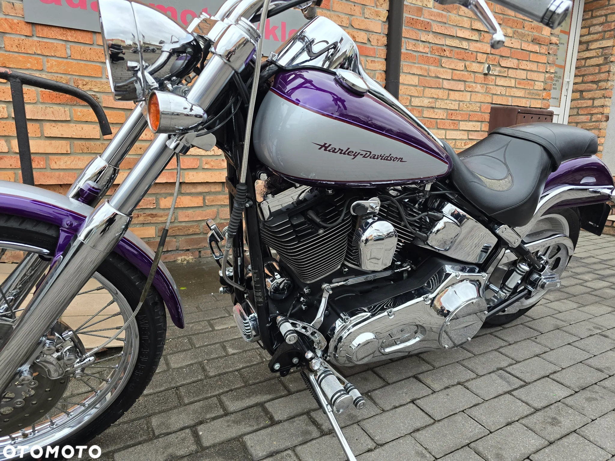 Harley-Davidson Softail - 6