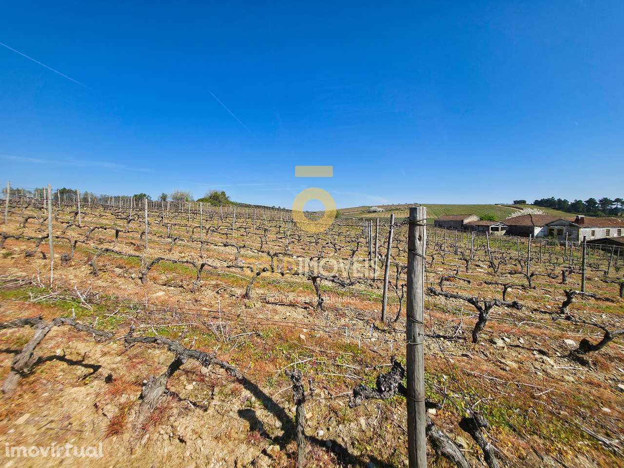 Quinta  Venda em Alijó,Alijó - Grande imagem: 5/16