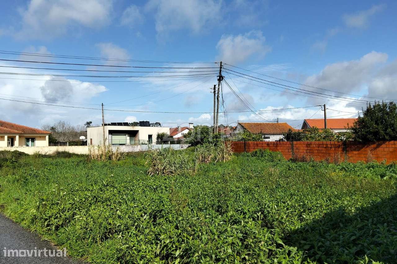 Terreno para construção de Moradia em Vagos - Grande imagem: 2/23