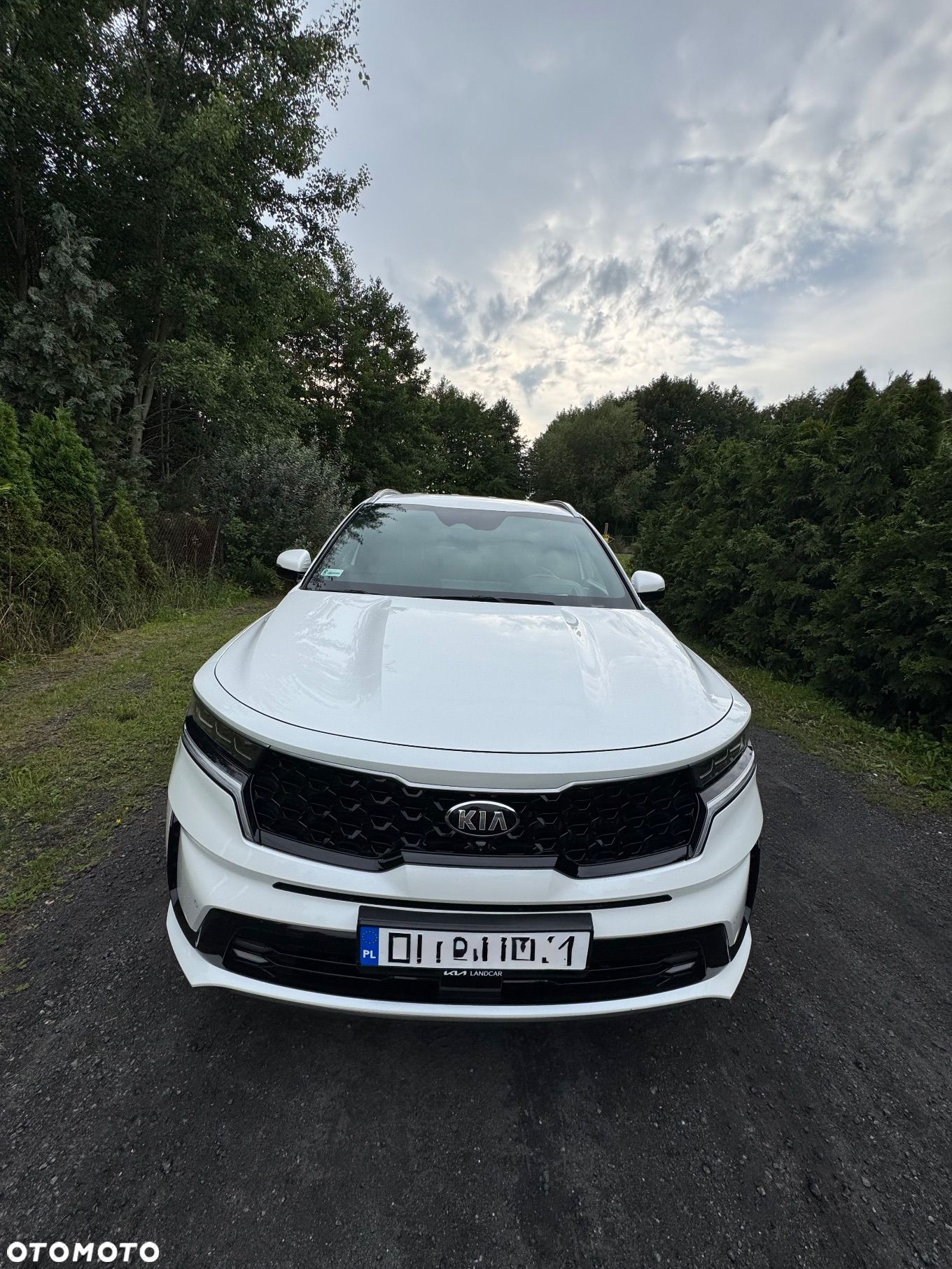 Kia Sorento 1.6 T-GDI HEV Prestige Line 4WD 7os - 1