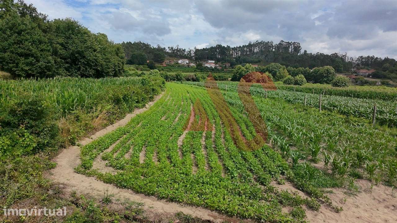 Terreno Agrícola com 2290m2 em Silvares, Lousada - Grande imagem: 5/10