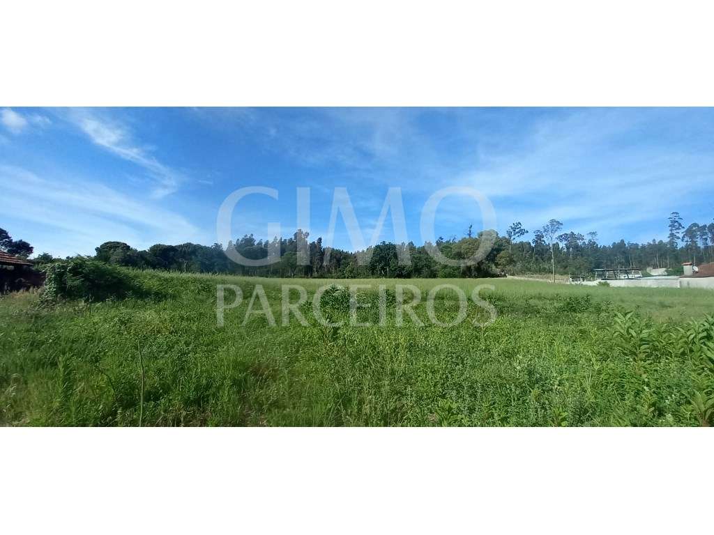 Terrenos para venda perto de Aveiro - Grande imagem: 3/8