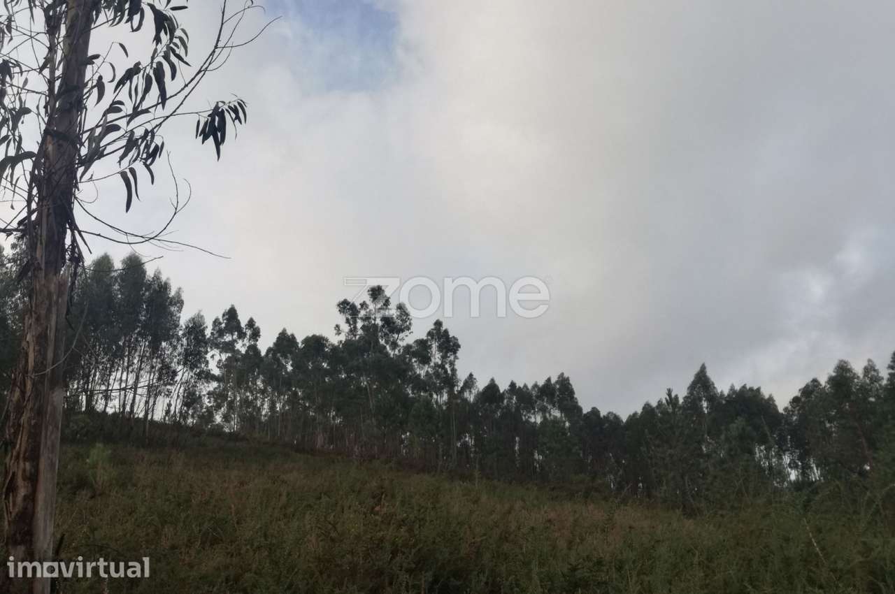 Terreno Rustico em Escariz São Martinho, Vila Verde - Grande imagem: 3/8