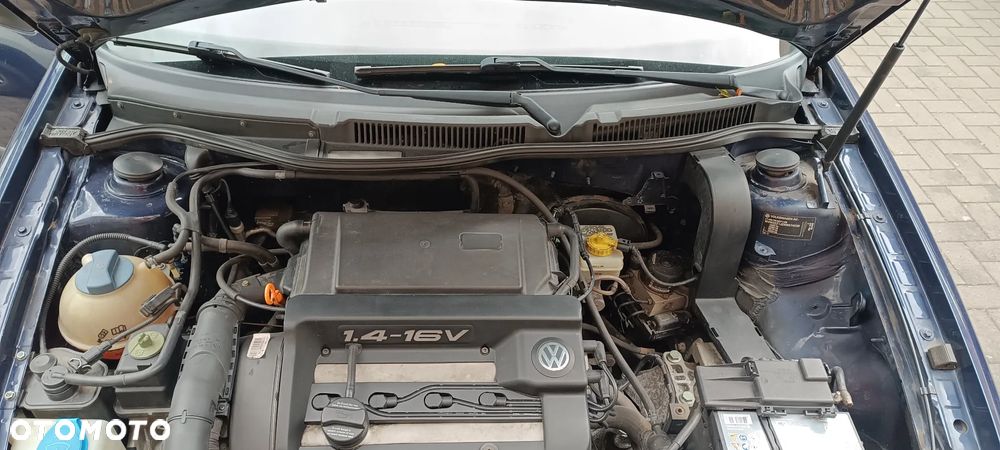 Volkswagen Golf IV 1.4 16V Basis - 1