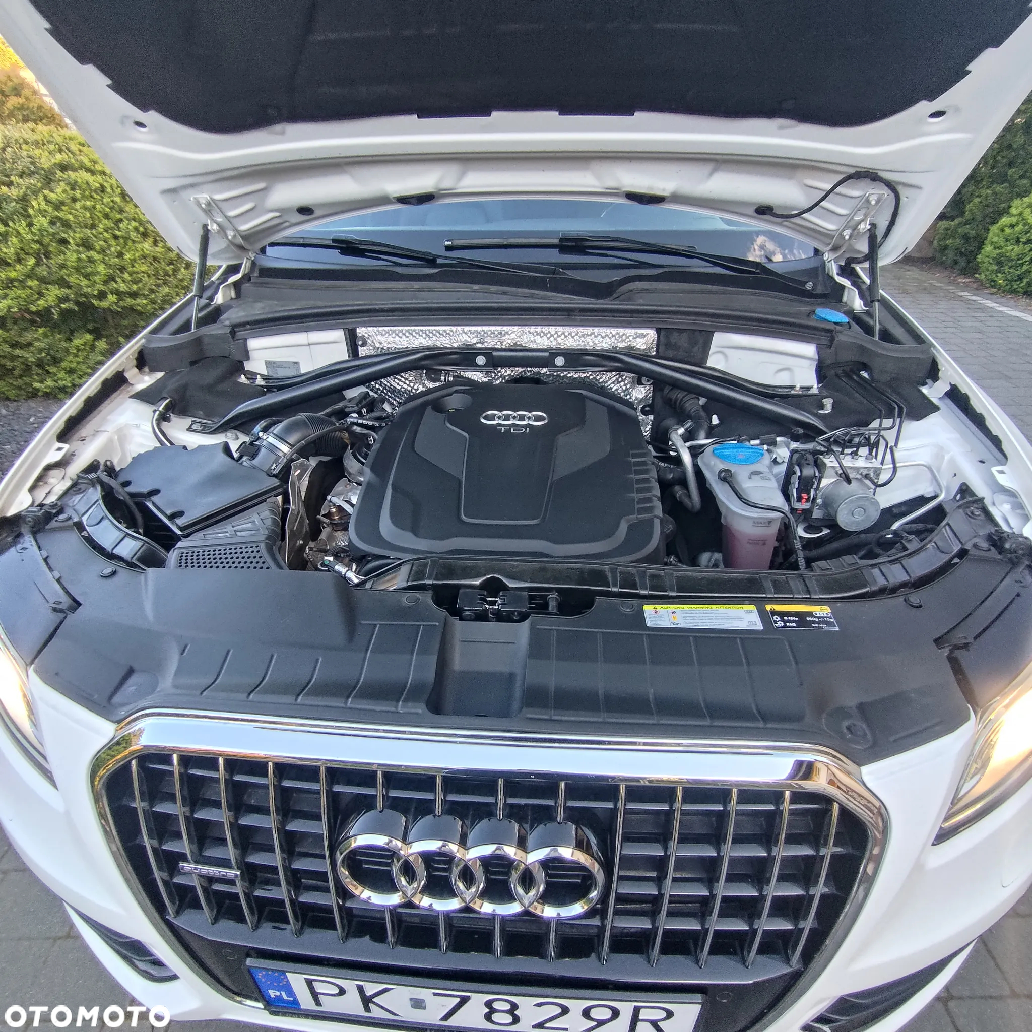 Audi Q5 2.0 TDI clean diesel Quattro S tronic - 29