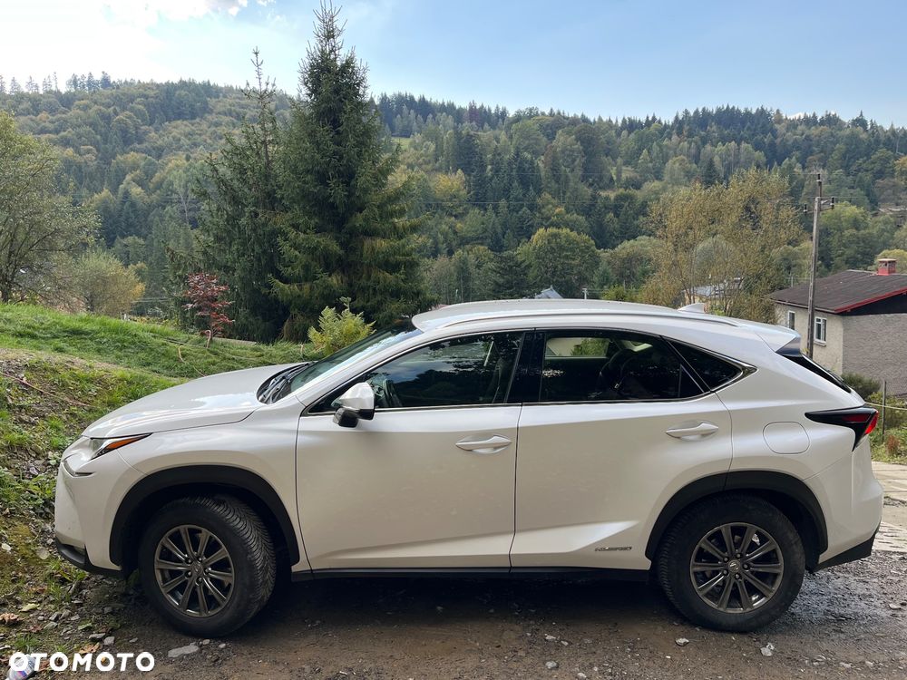Lexus NX 300h Business Edition AWD - 6