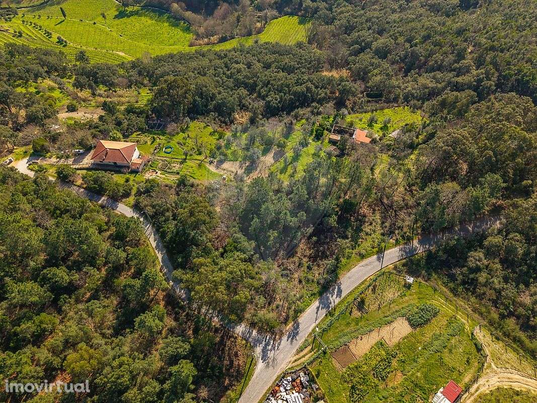 Terreno  para venda - Grande imagem: 5/6