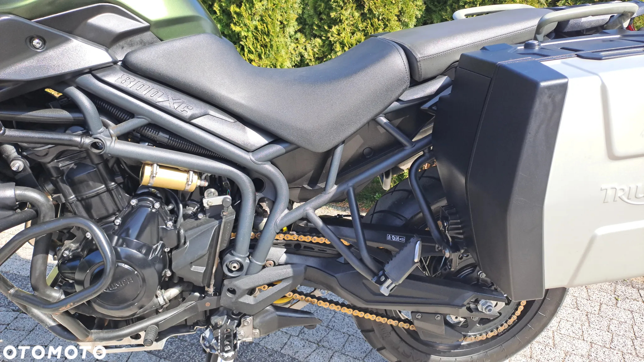 Triumph Tiger - 29