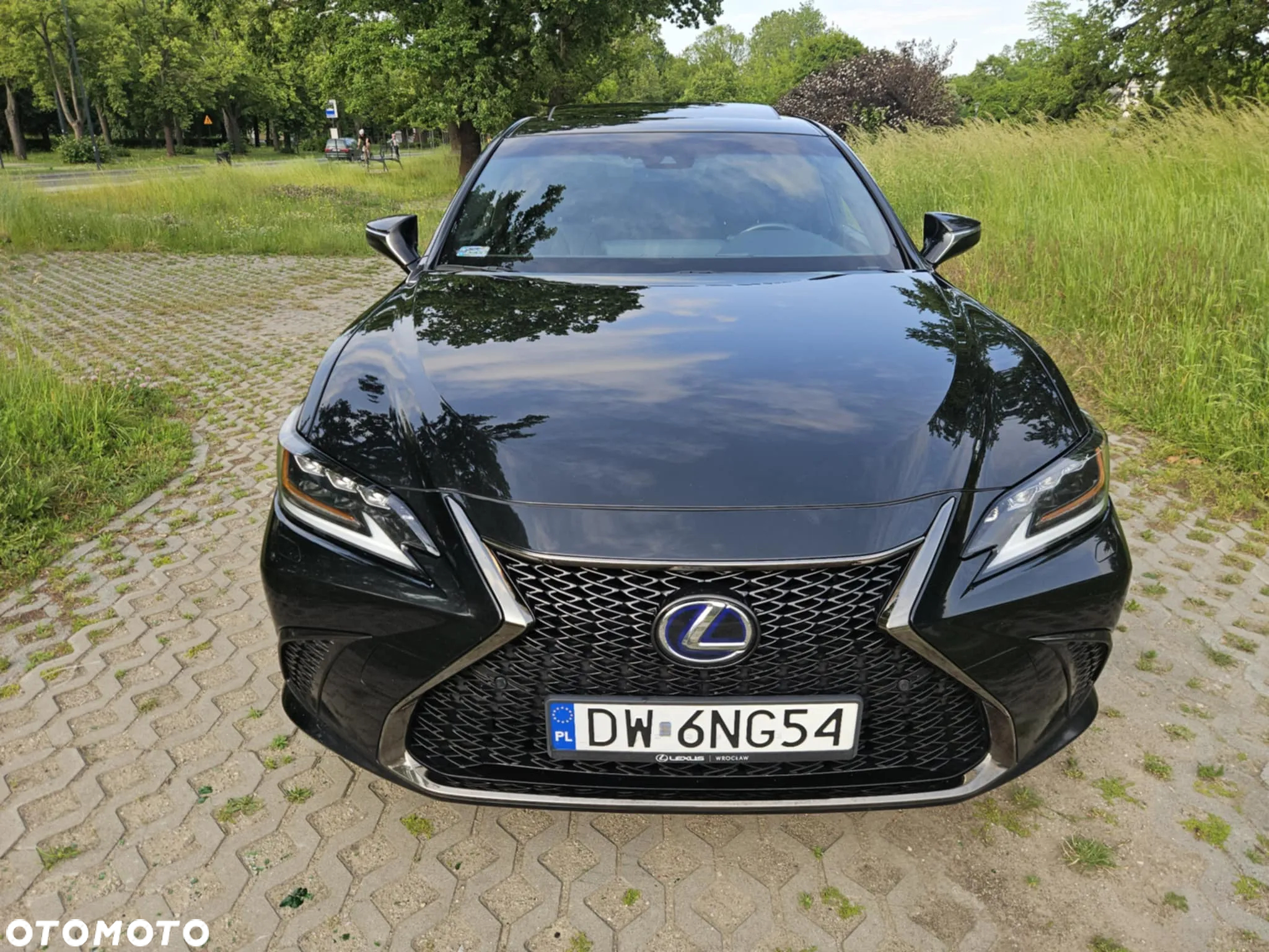 Lexus ES 300h F Sport Edition - 12