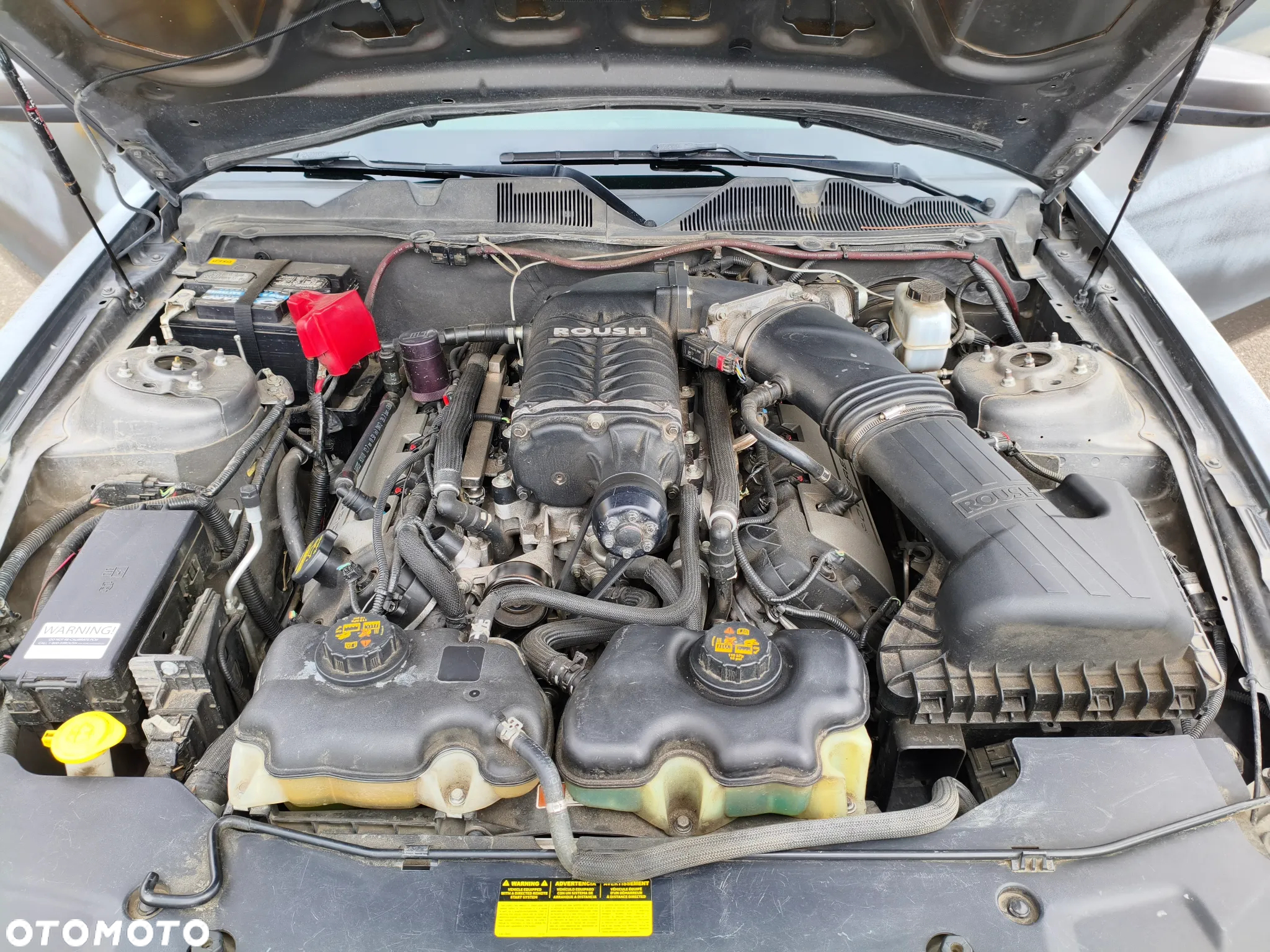 Ford Mustang 5.0 V8 GT Premium - 16