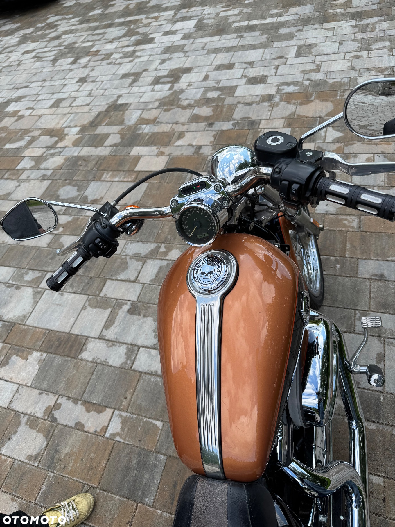 Harley-Davidson Sportster Custom 1200C - 8