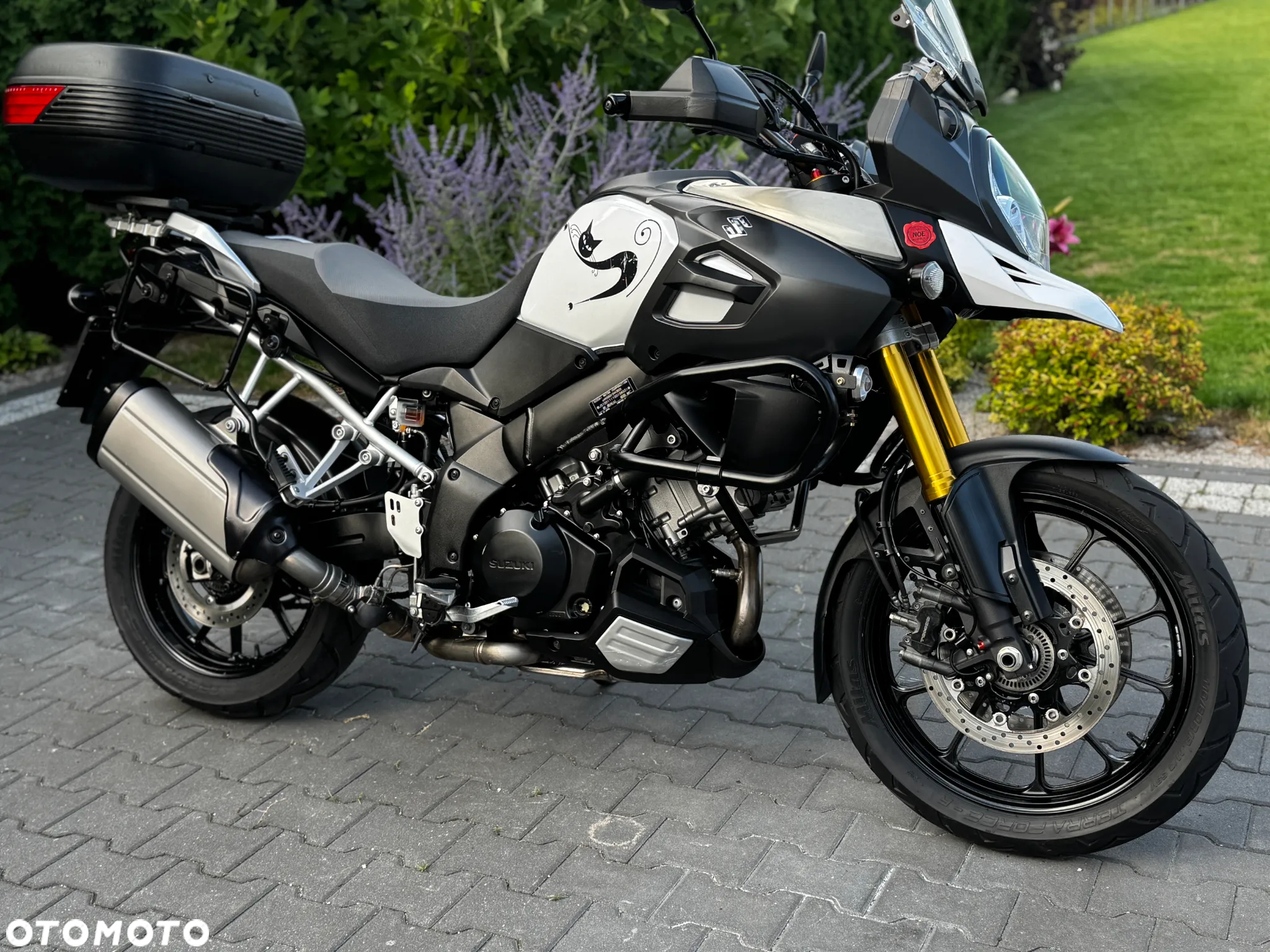 Suzuki V-STROM - 3