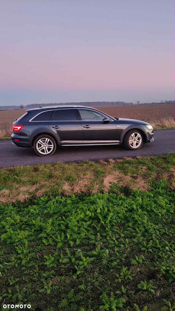 Audi A4 Allroad - 8