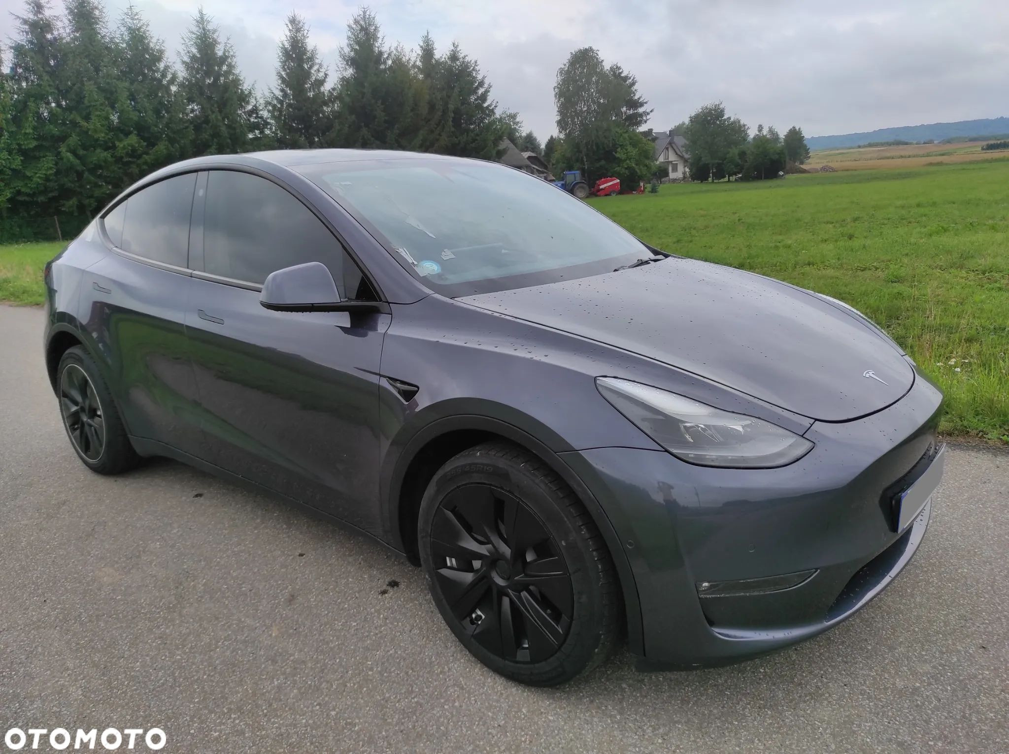 Tesla Y Model RWD - 1