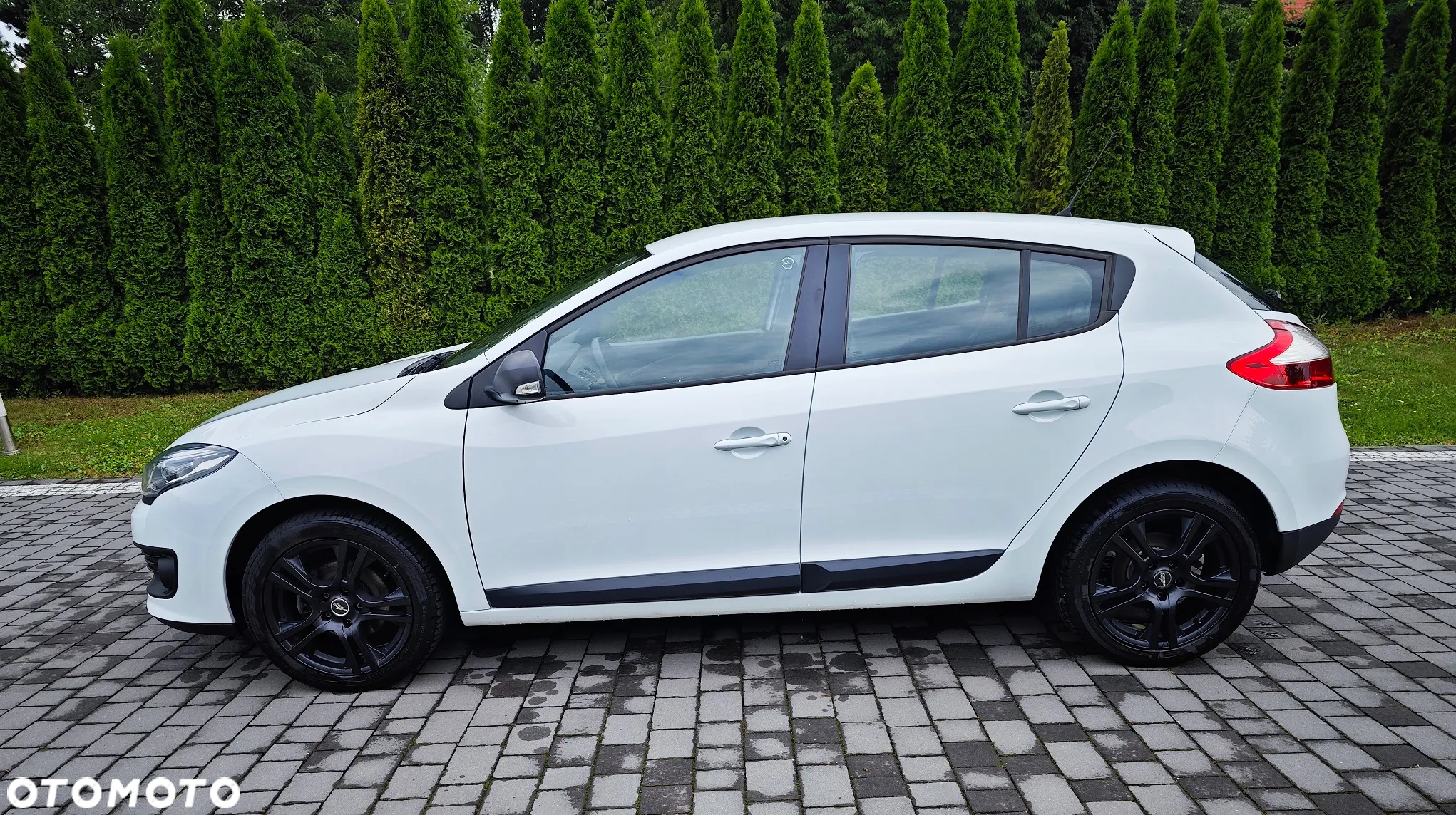 Renault Megane 1.6 16V 110 Authentique - 11