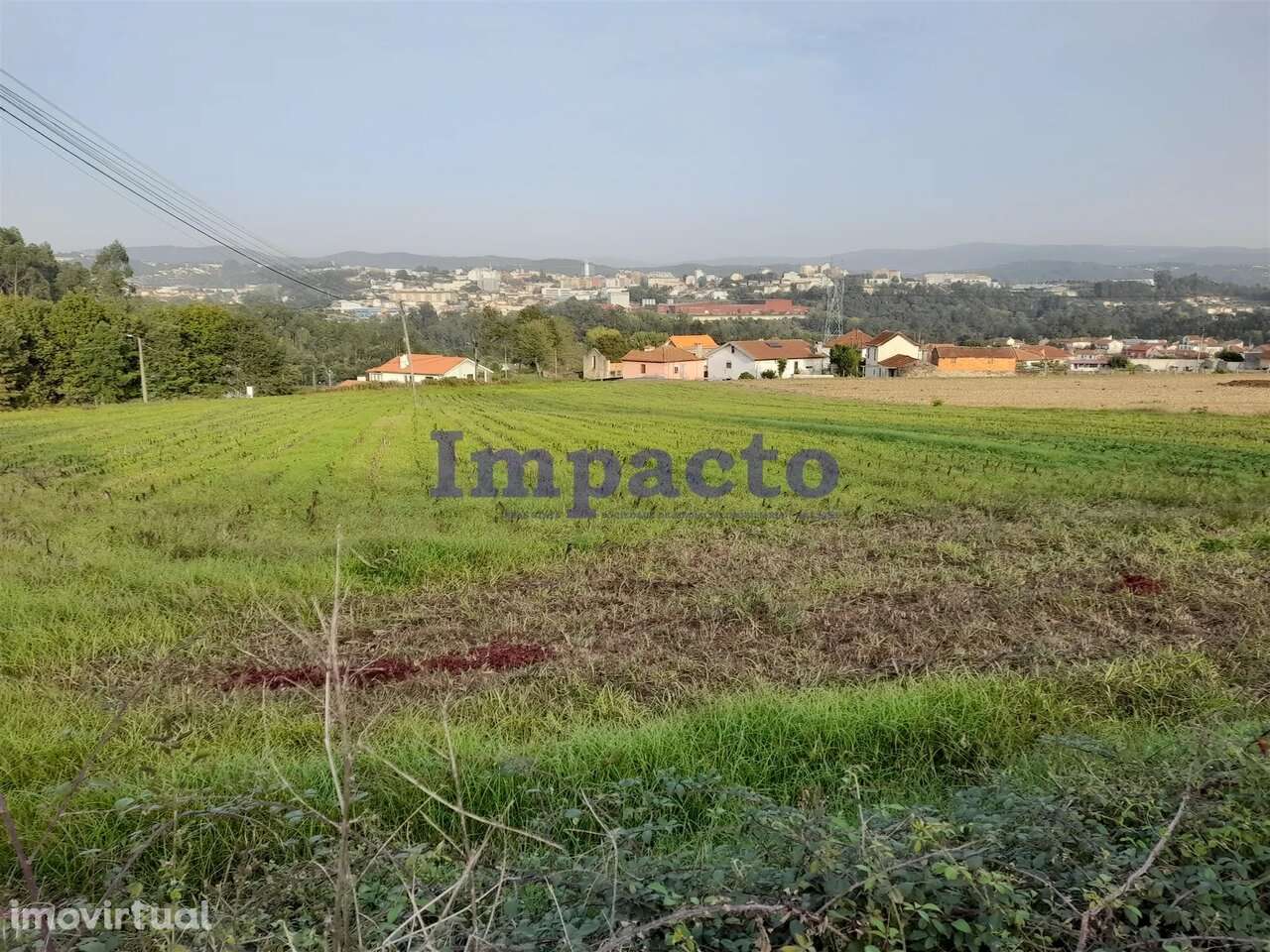 Terreno Rústico em Madaíl, Oliveira de Azeméis - Grande imagem: 5/6