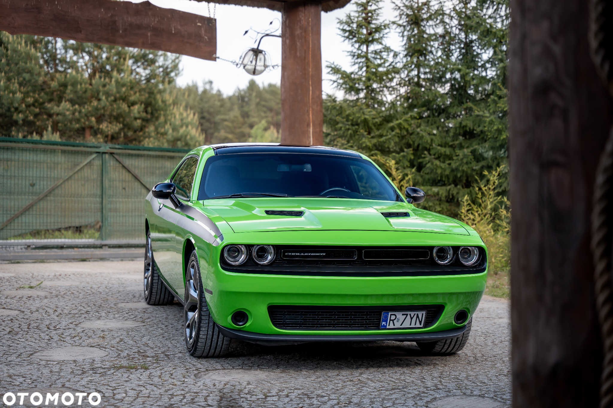 Dodge Challenger Automatik SXT Plus - 18