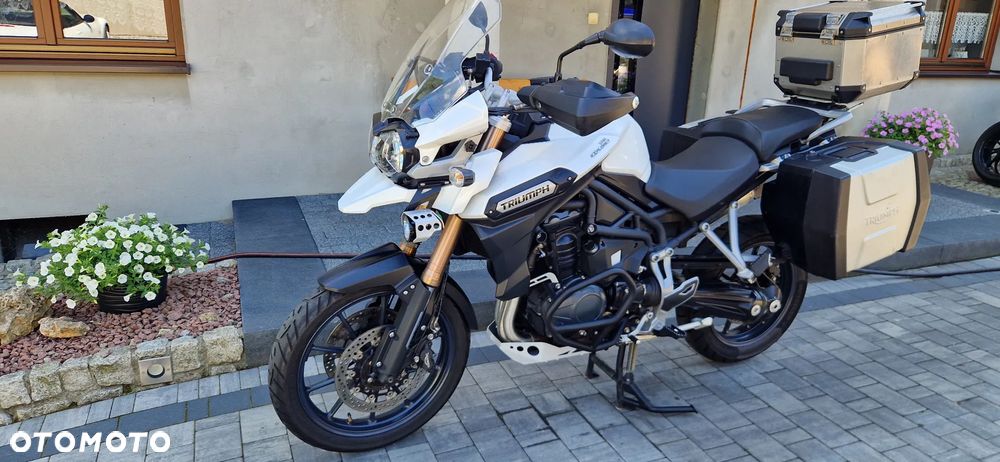 Triumph Tiger - 11