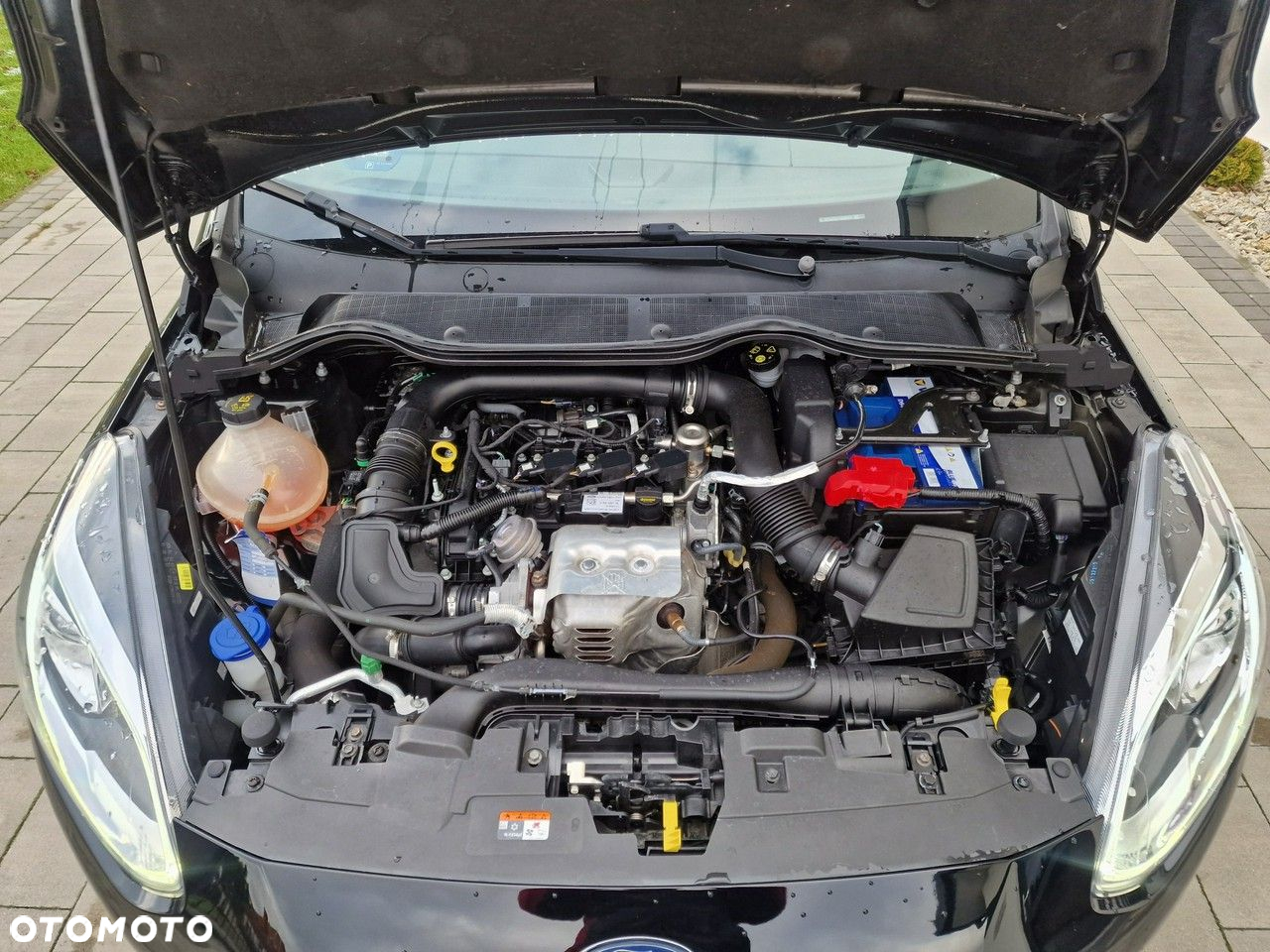 Ford Fiesta - 18