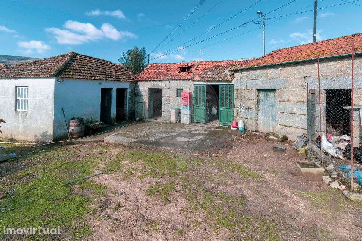 Quinta T5 para venda - Grande imagem: 4/26