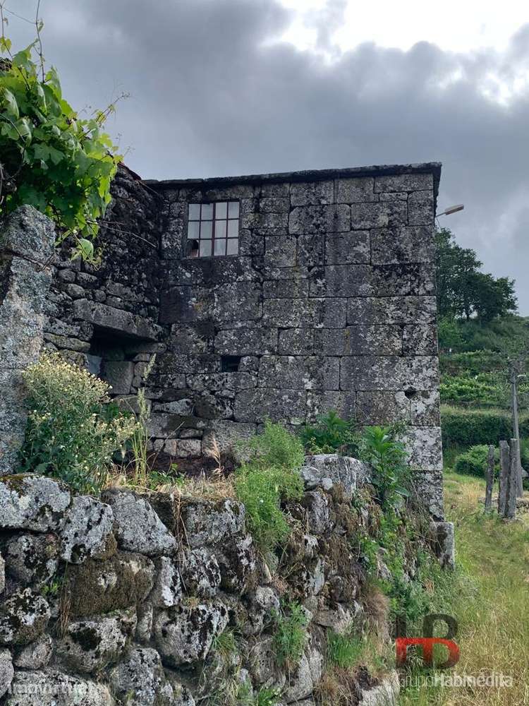 Quinta T5 Venda em Alcofra,Vouzela - Grande imagem: 3/21