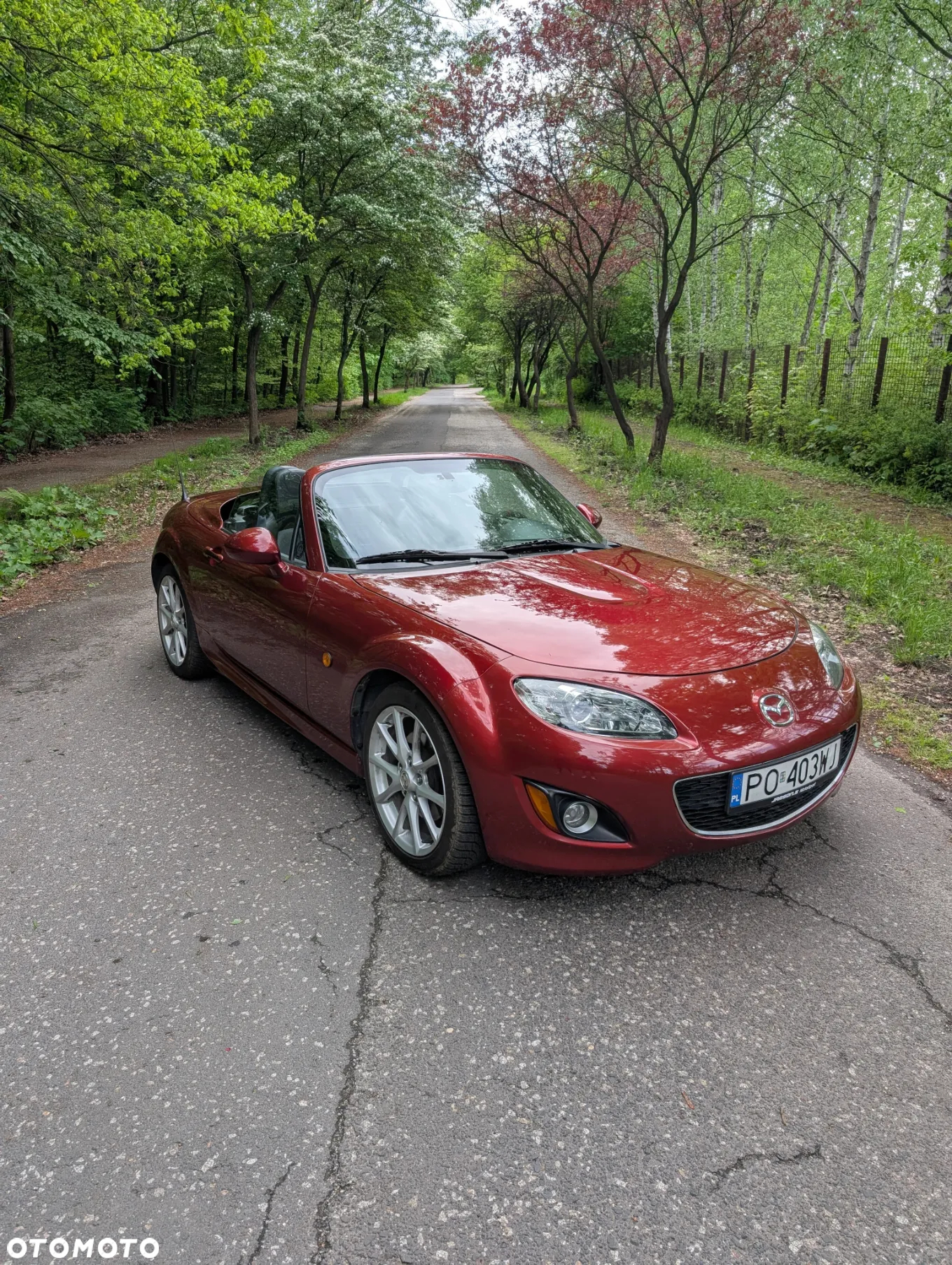 Mazda MX-5 - 9