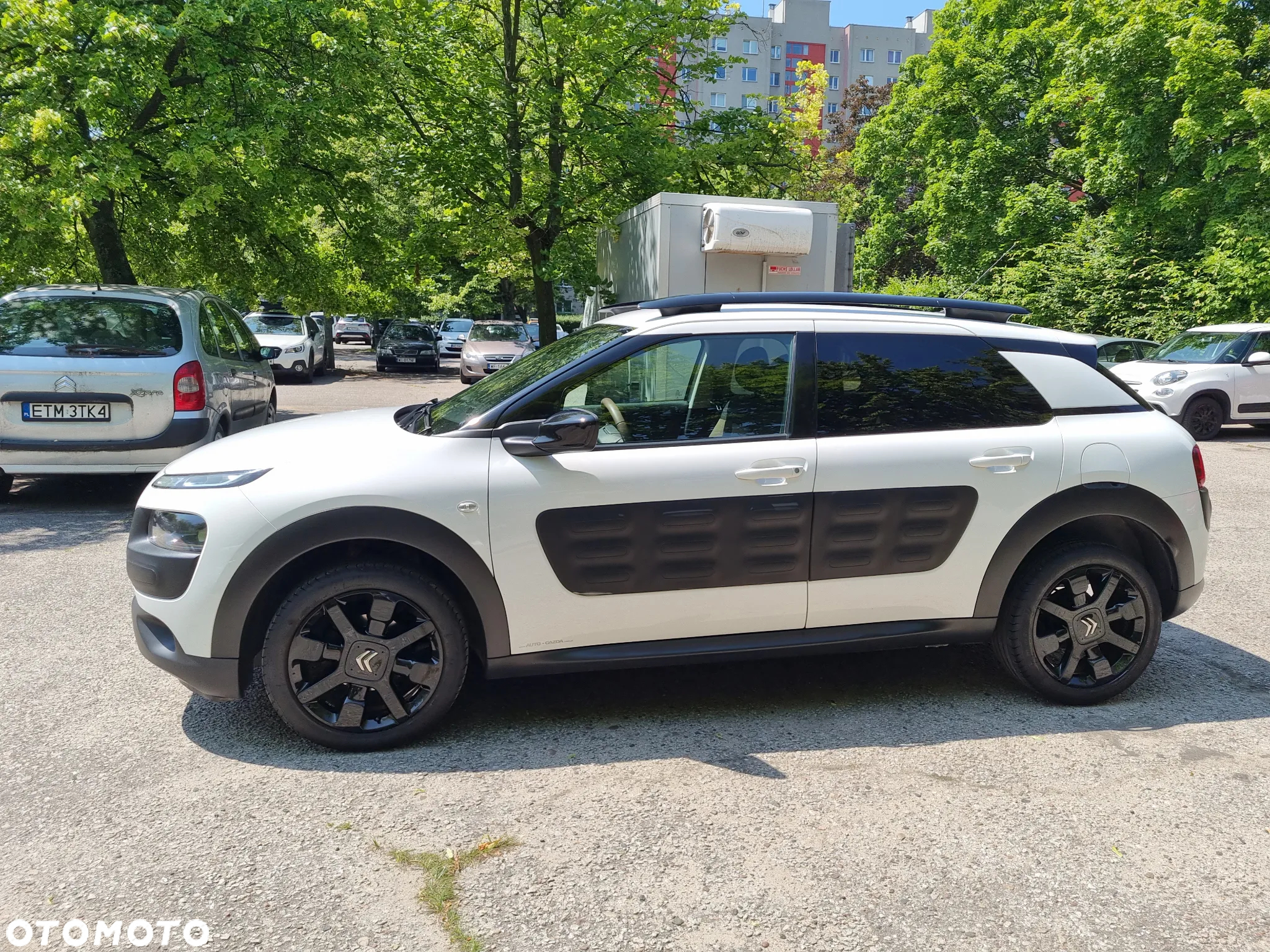 Citroën C4 Cactus 1.2 PureTech Shine - 32