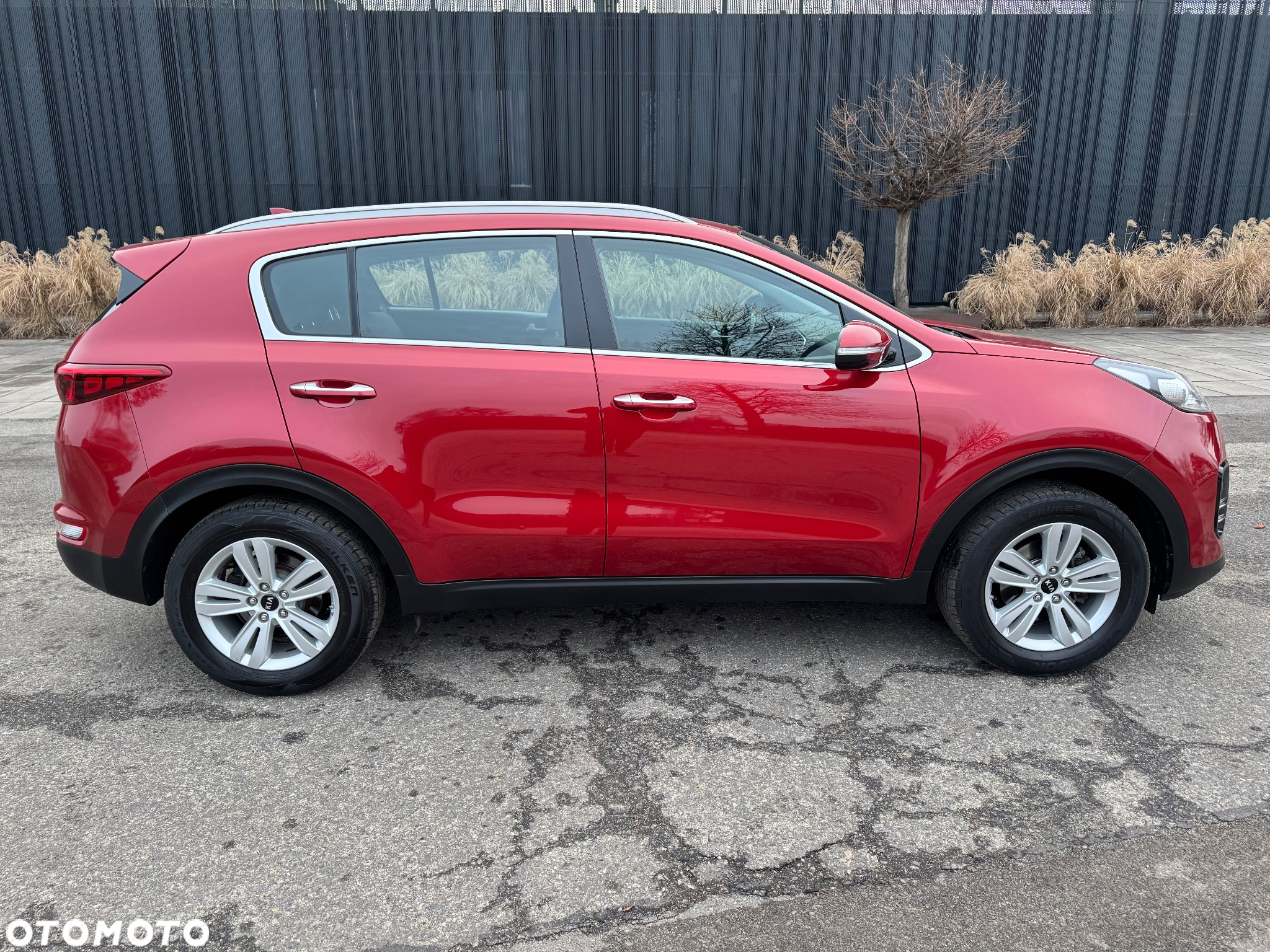 Kia Sportage 1.6 GDI Black Edition 2WD - 9
