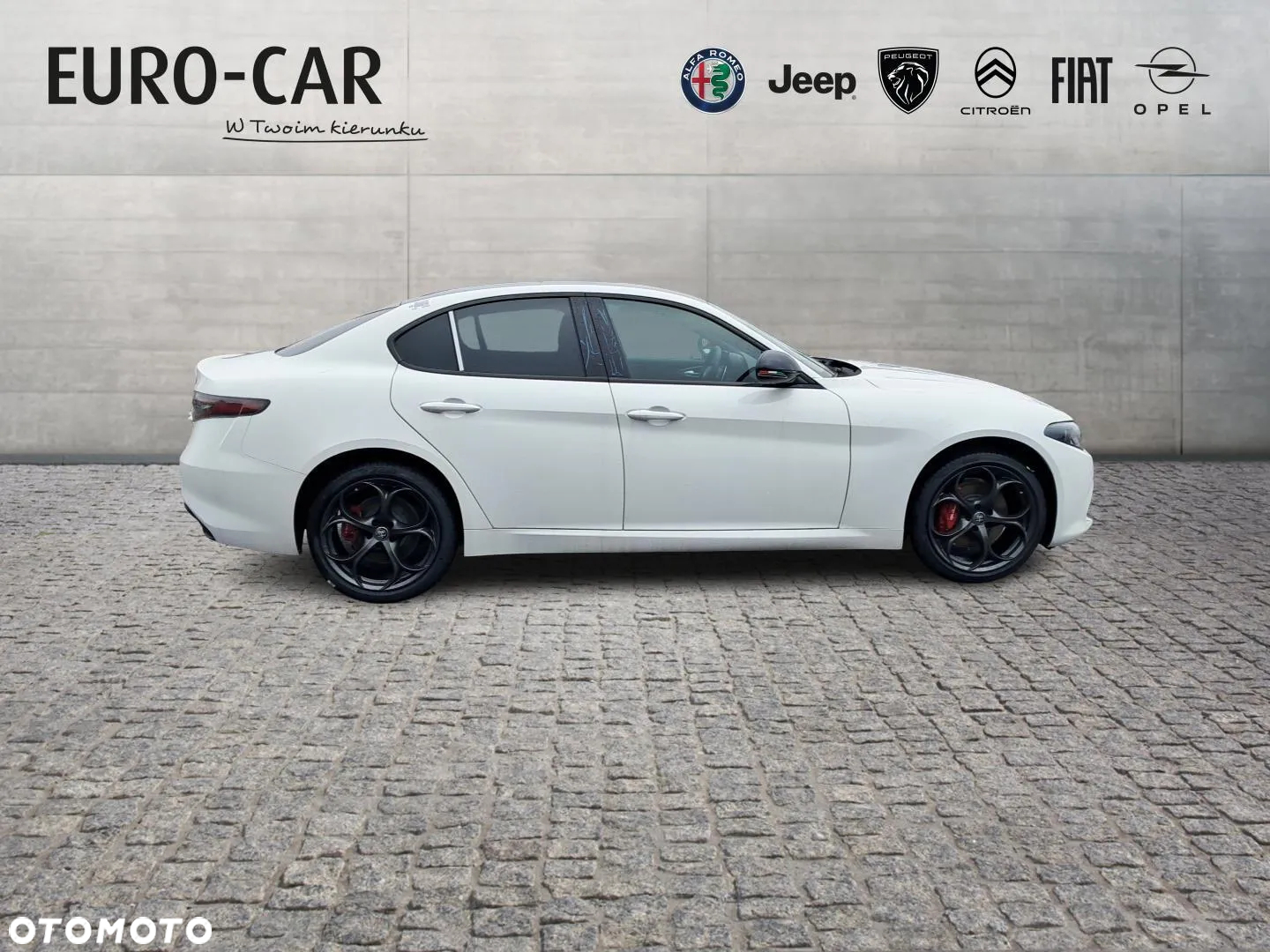 Alfa Romeo Giulia 2.0 Turbo Tributo Italiano Q4 - 6