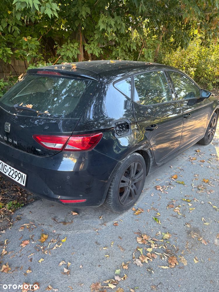 Seat Leon 2013 photo 2