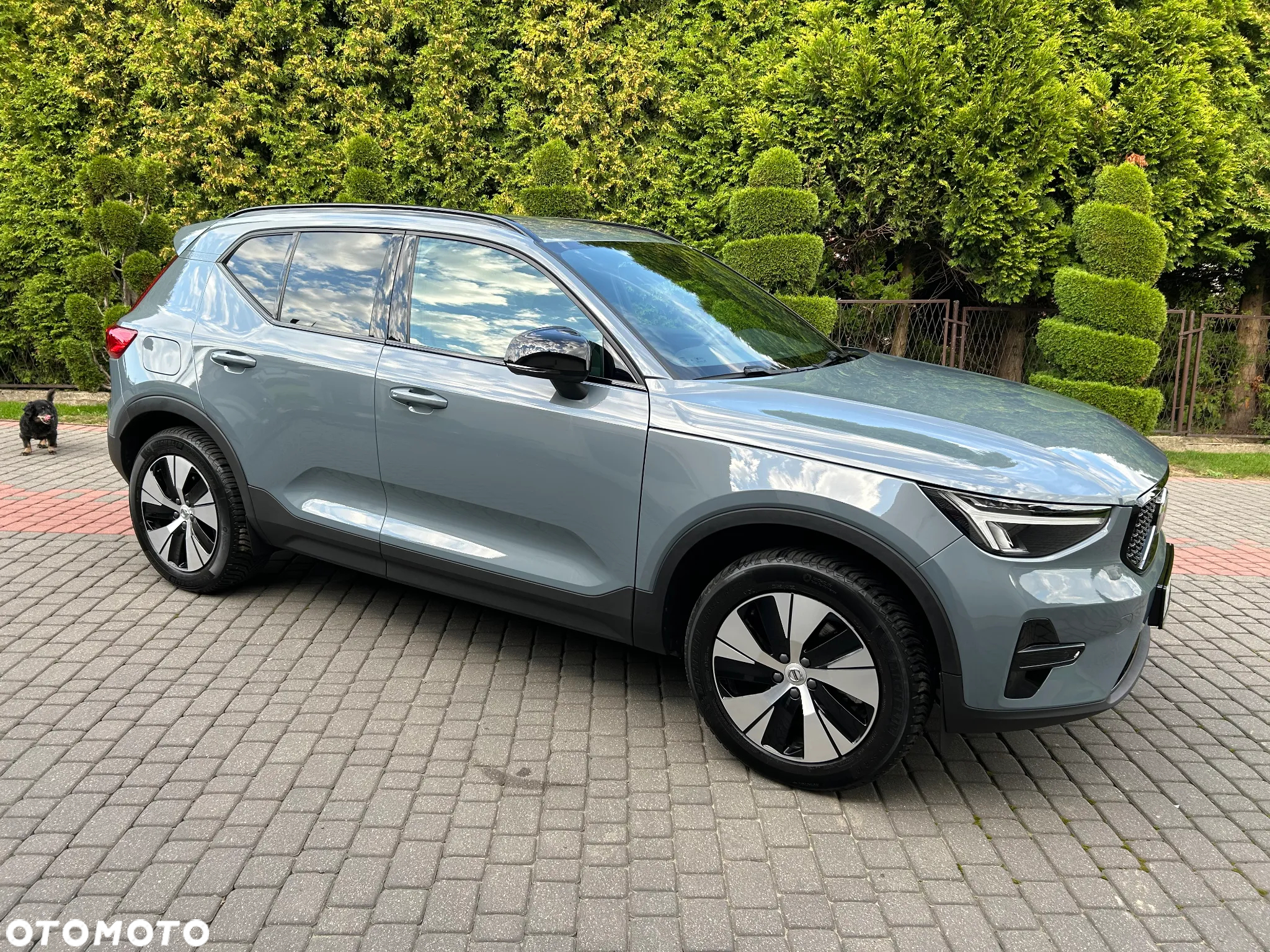 Volvo XC 40 T4 Plug-In Hybrid Plus Dark - 12