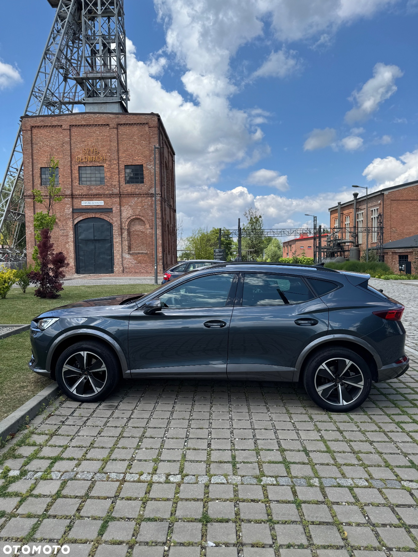 Cupra Formentor 2.0 TSI 4Drive DSG - 11