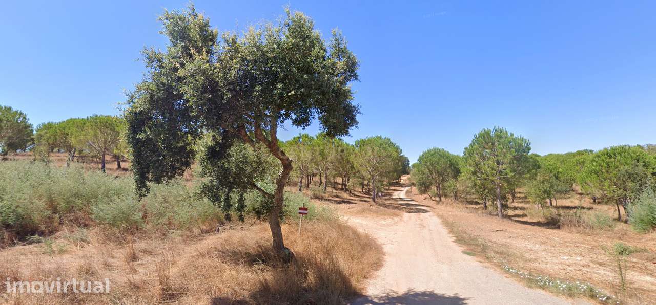 Herdade Raco de Baixo - S. Luís Poente - Grande imagem: 2/6