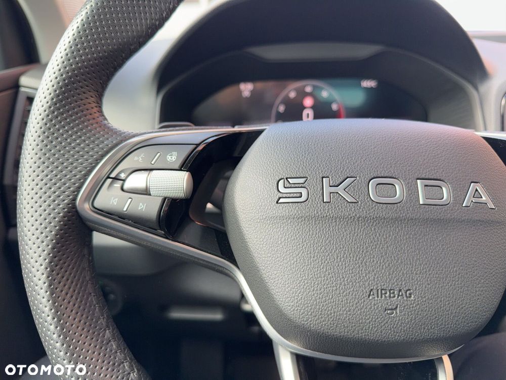 Skoda Karoq - 17