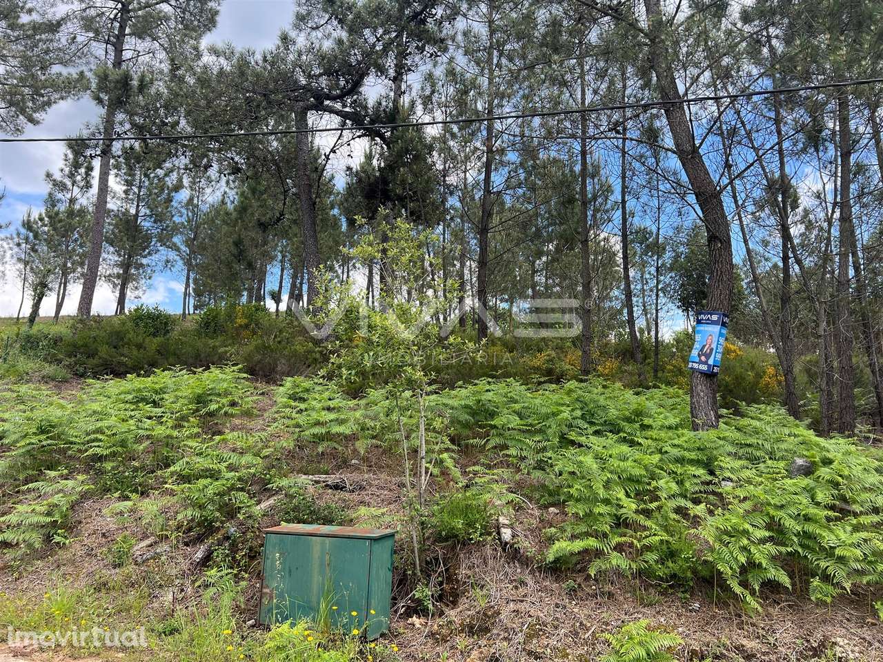 Terreno Para Construção  Venda em Arnóia,Celorico de Basto - Grande imagem: 3/6