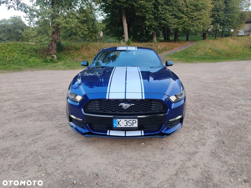 Ford Mustang 3.7 V6 - 10