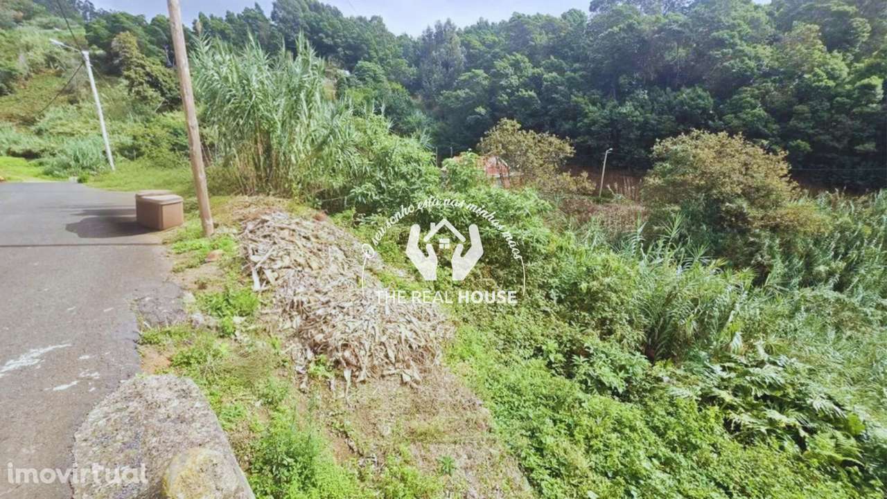 TERRENO - Ponta do Sol - Grande imagem: 2/6