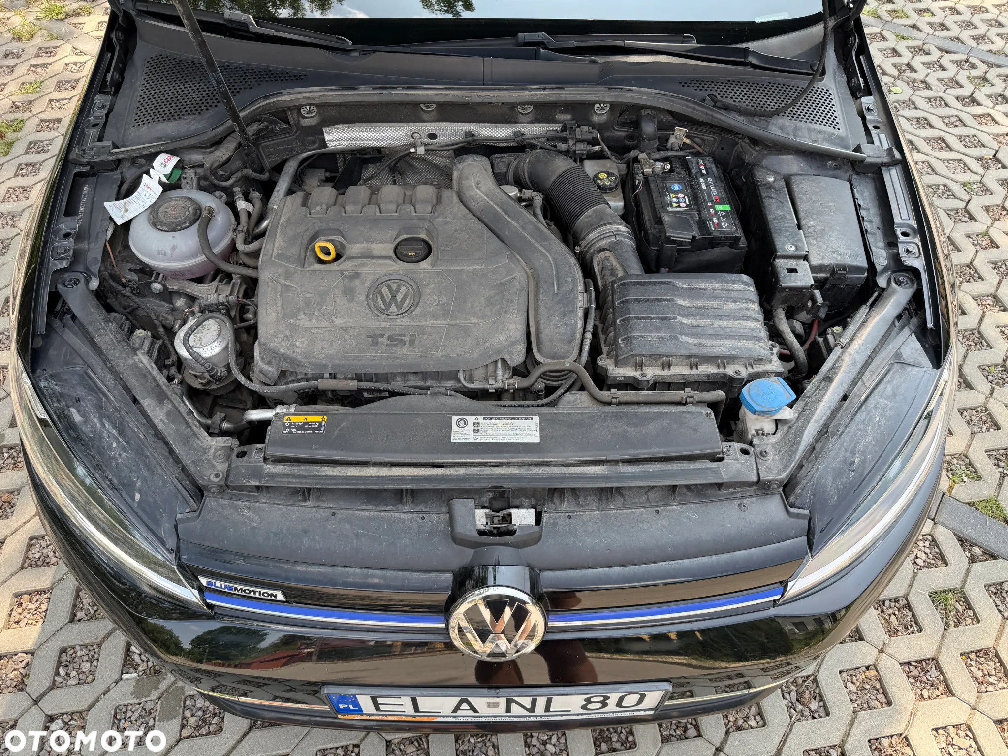 Volkswagen Golf - 30