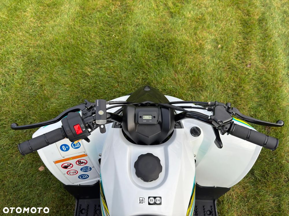 Yamaha YFZ - 10