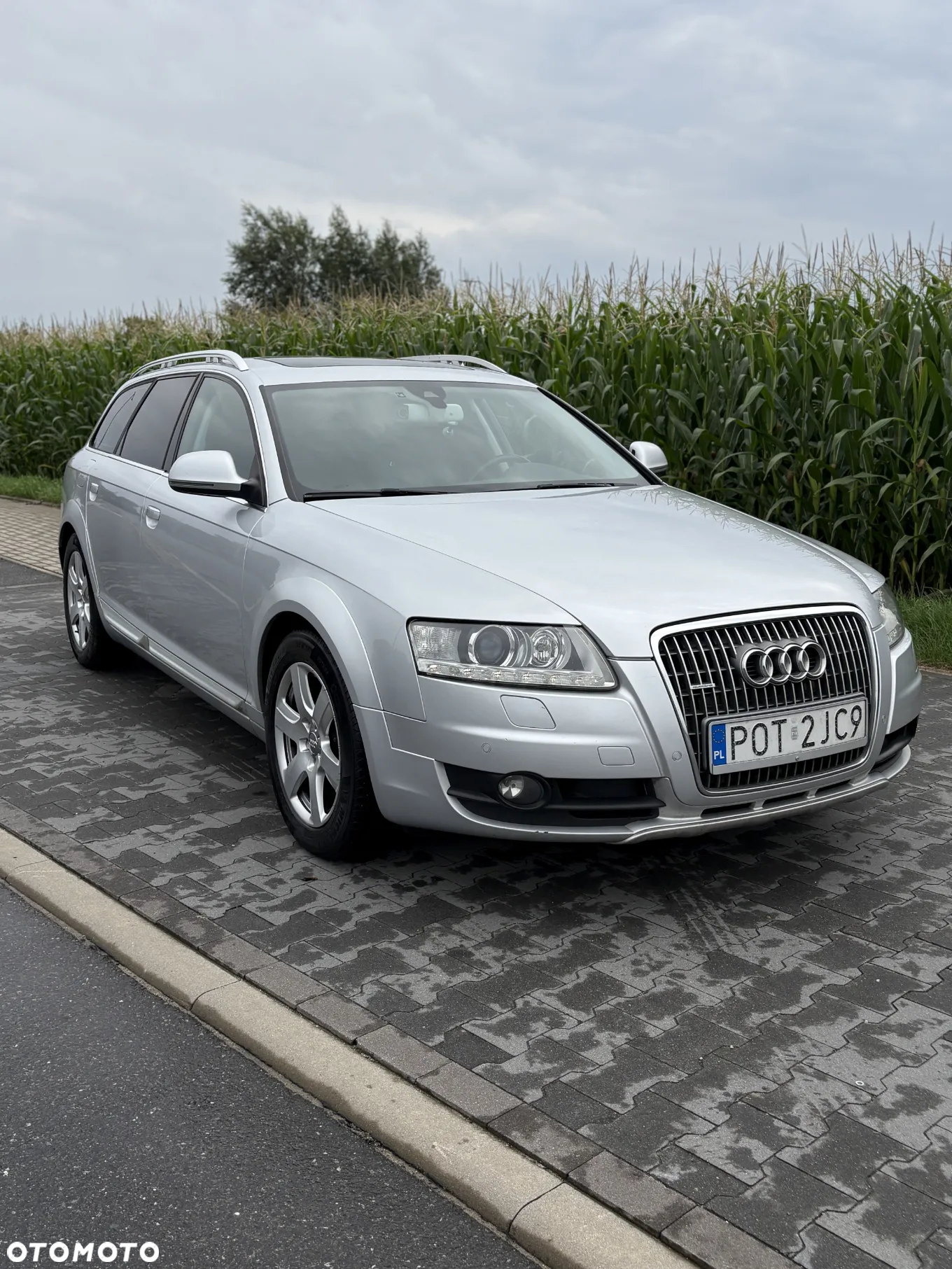 Audi A6 Allroad 3.0 TDI Quattro - 8